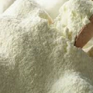 Skimmed Milk Powder