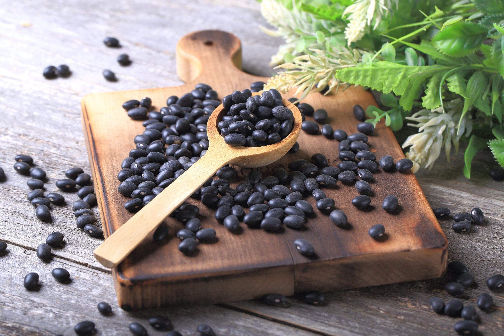 Black Beans