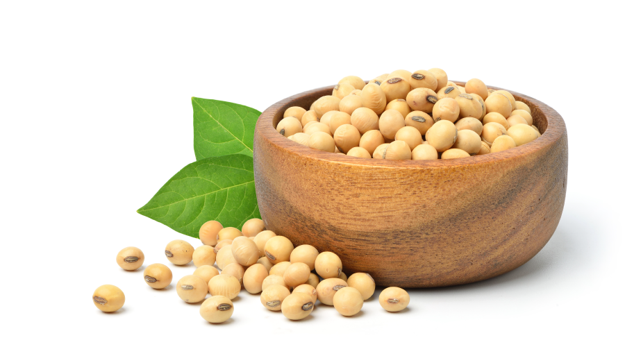 Soyabean