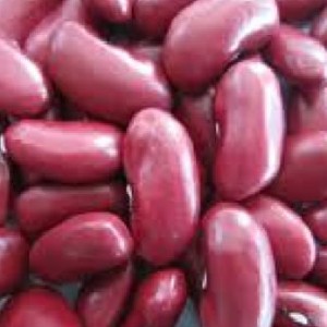 RED KIDNEY BEANS